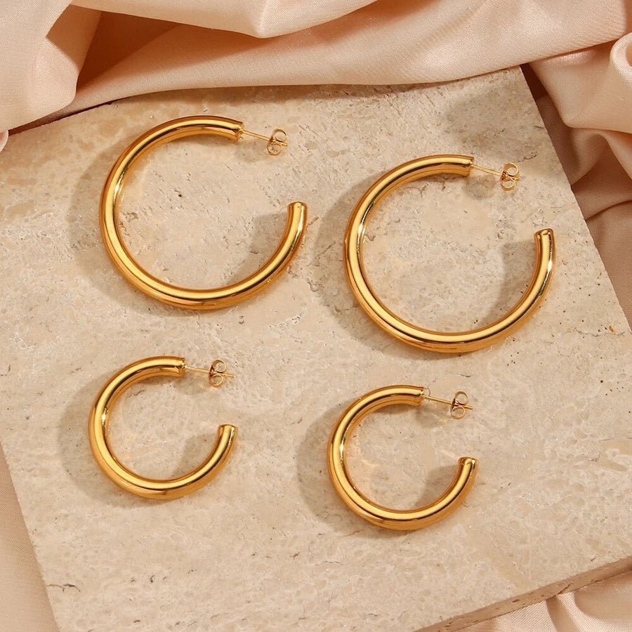 HOOPS EARRINGS